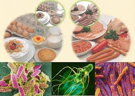 Bài tuyên truyền ngộ độc thực phẩm
